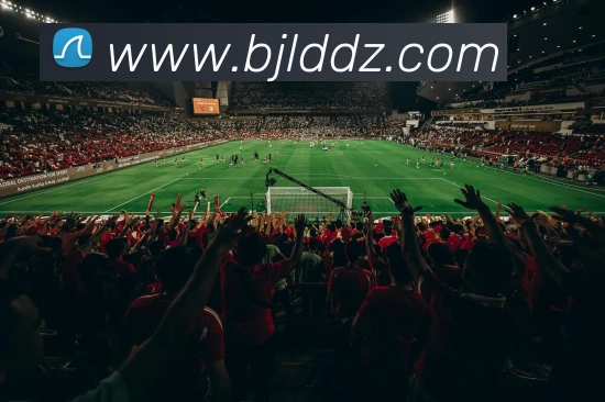 百家乐网站平台生态图